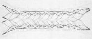 F<sc>ig</sc> 1.