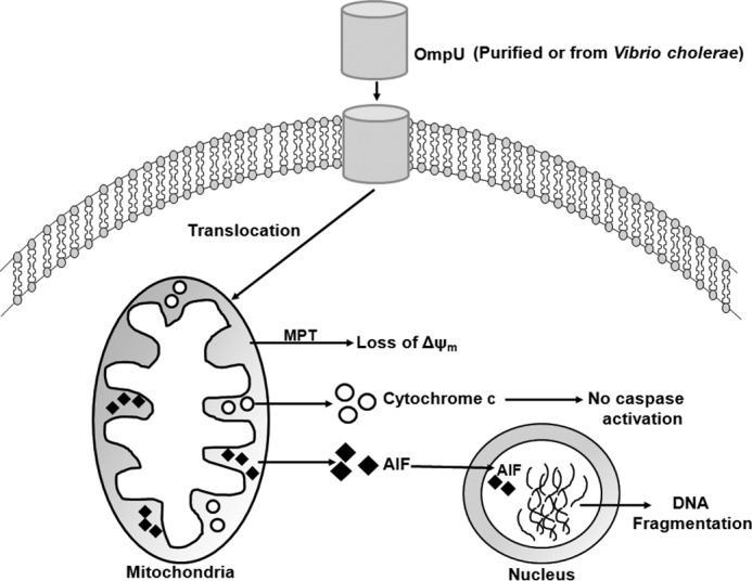 FIGURE 10.