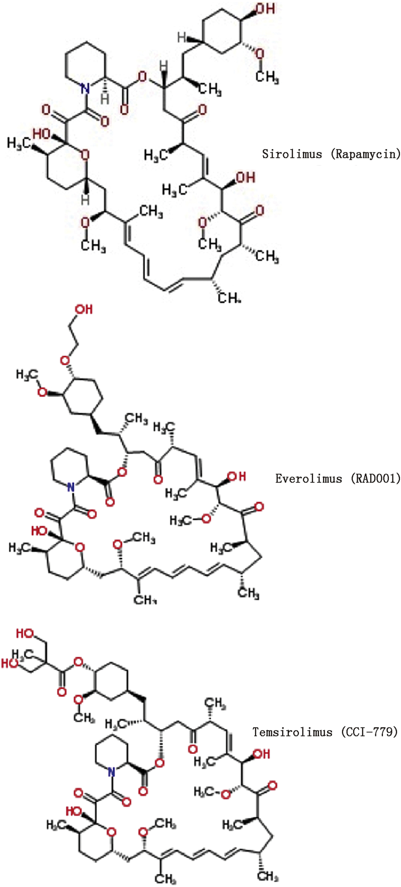 Fig. 2