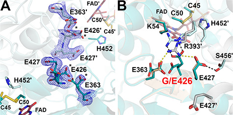 Figure 9