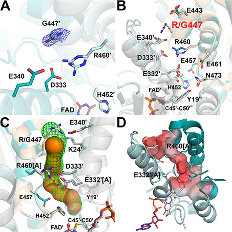 Figure 7