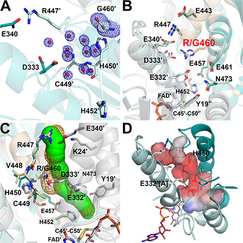 Figure 6