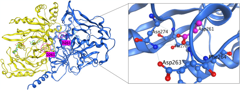 Fig. 2