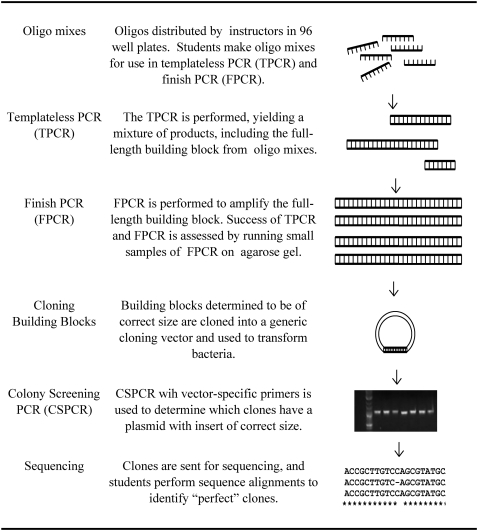 Figure 1.—