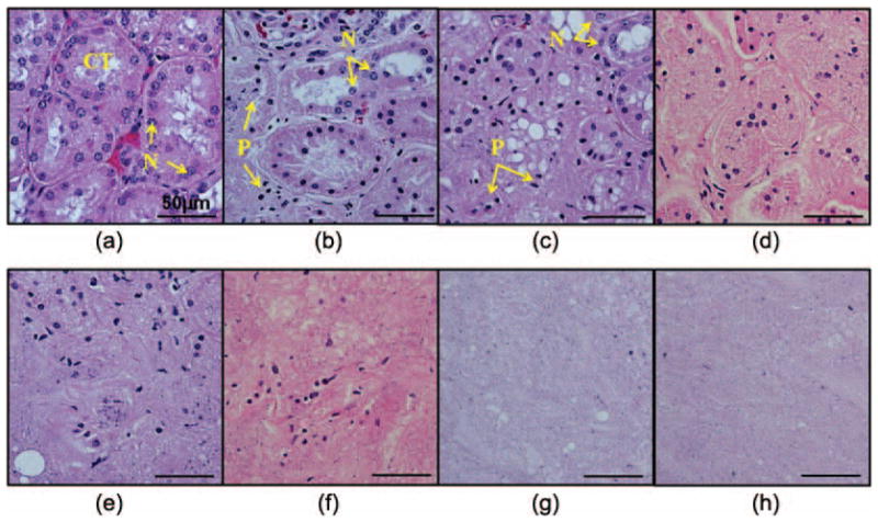 Fig. 9