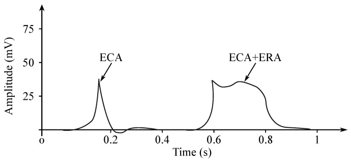 Figure 8