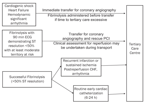 Figure 2)