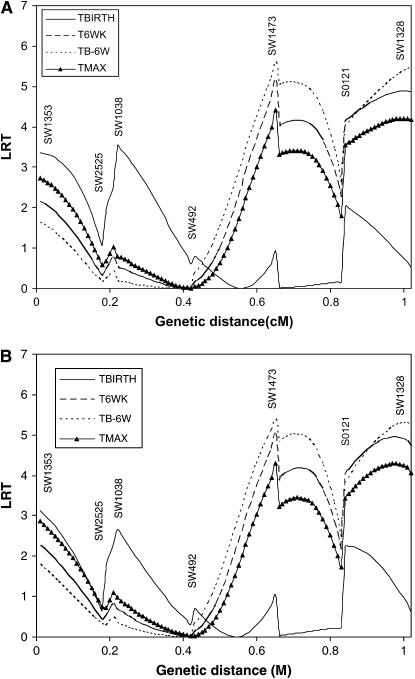 Figure 6.—