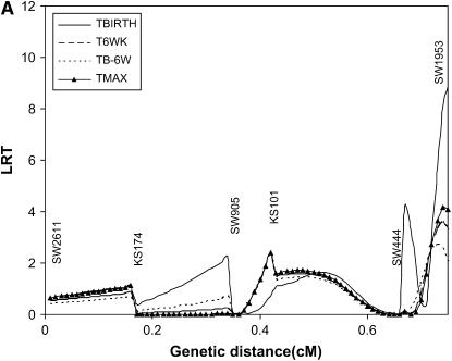 Figure 7.—