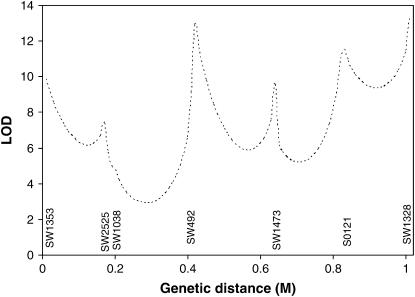 Figure 5.—