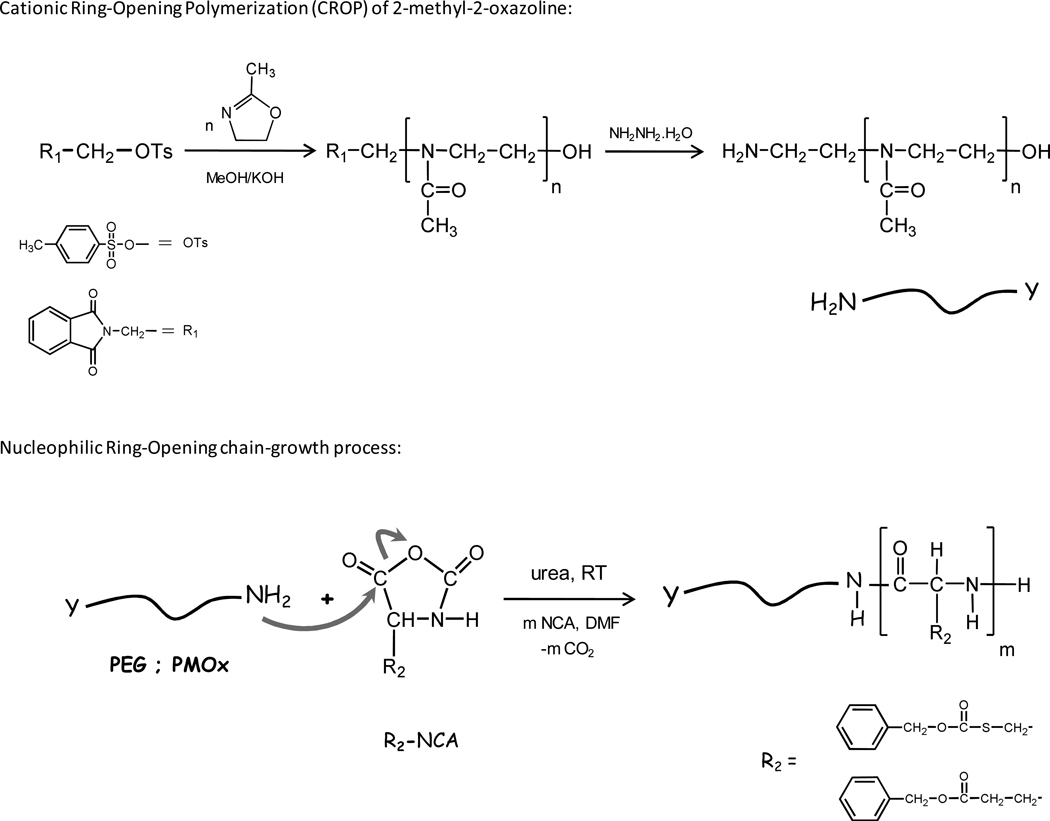 Scheme 2