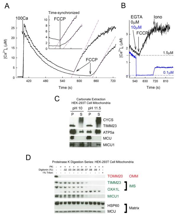 Fig4