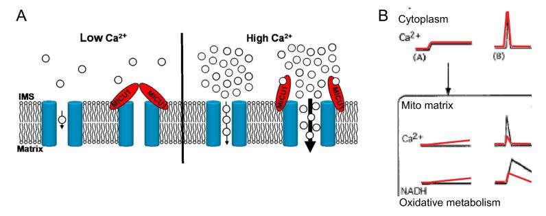 Fig6