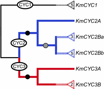 Fig. 2
