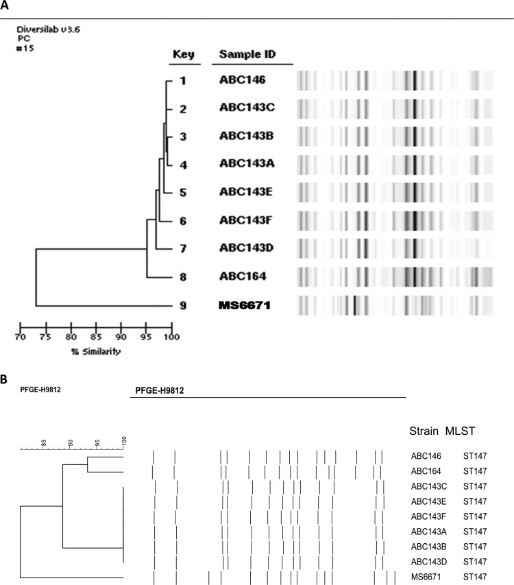 FIG 1