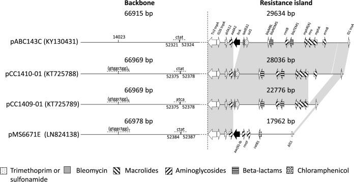 FIG 4