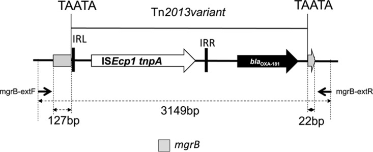 FIG 3