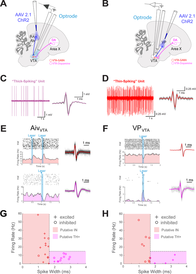 Figure 6: