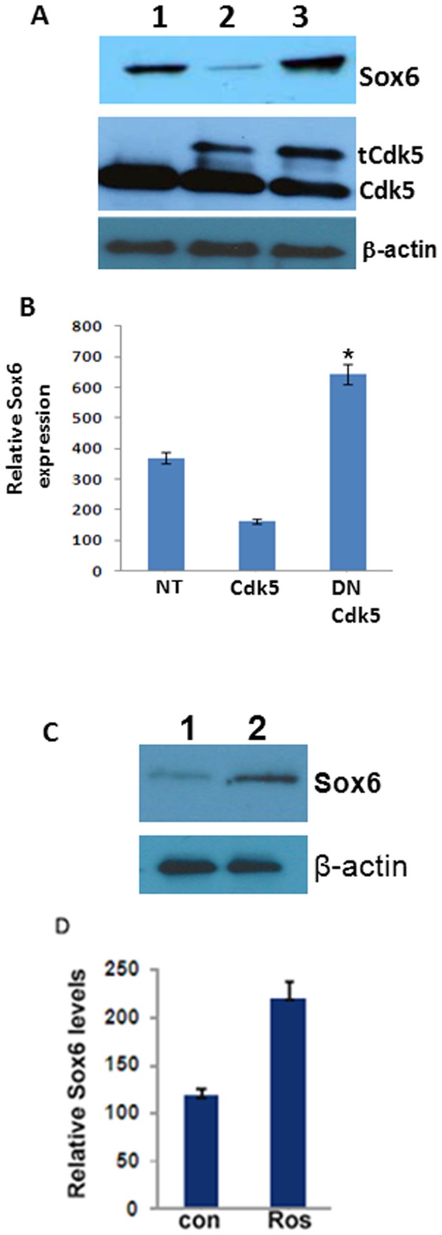 Figure 6