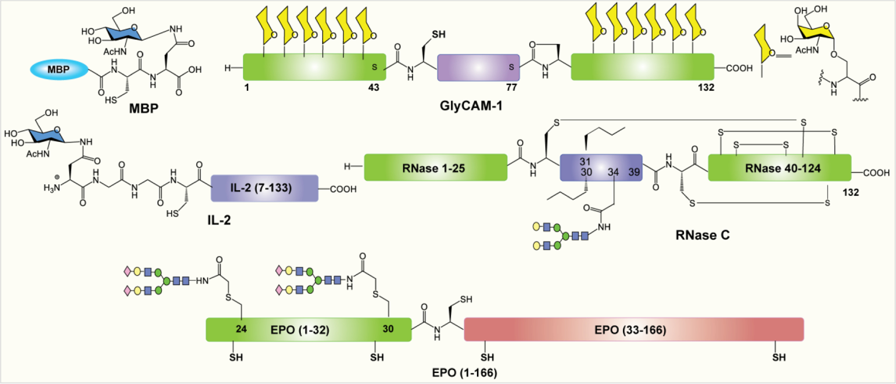 Figure 14: