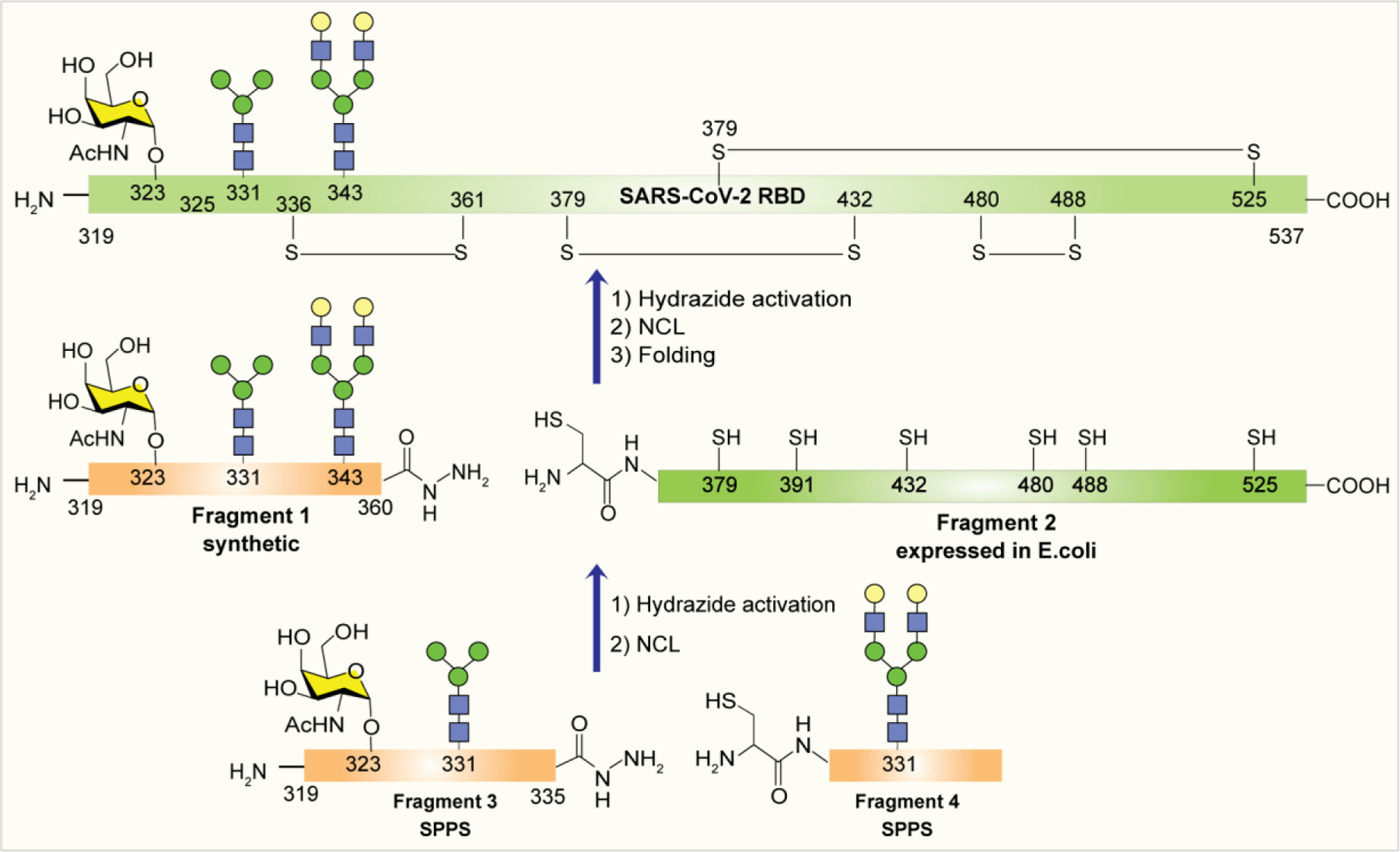 Scheme 6: