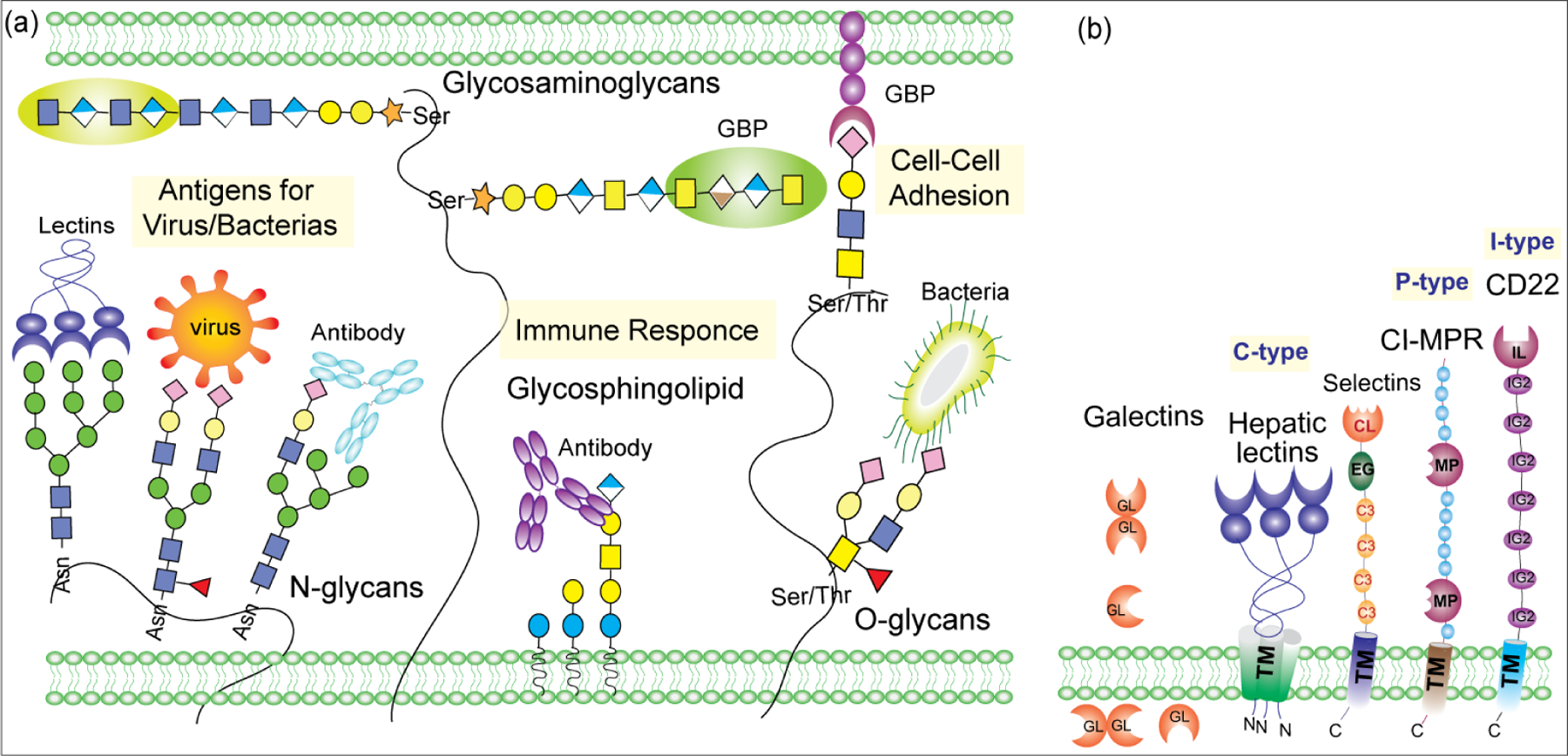 Figure 3: