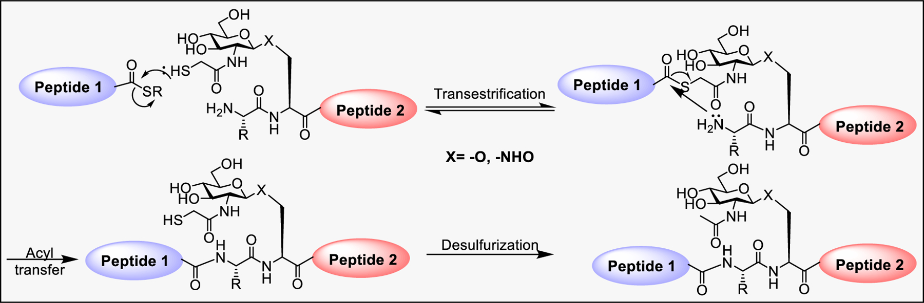 Scheme 7: