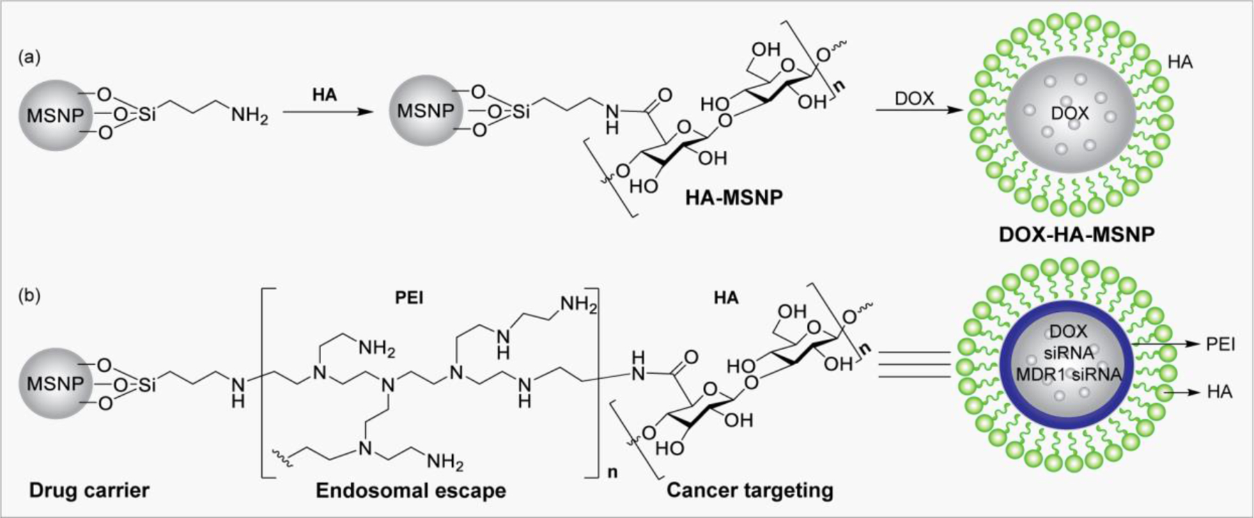 Figure 12.