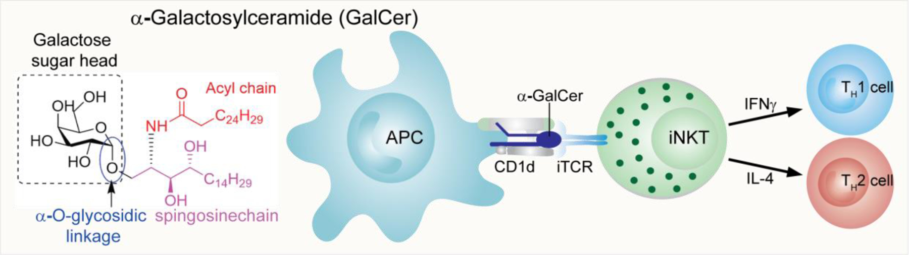 Figure 36: