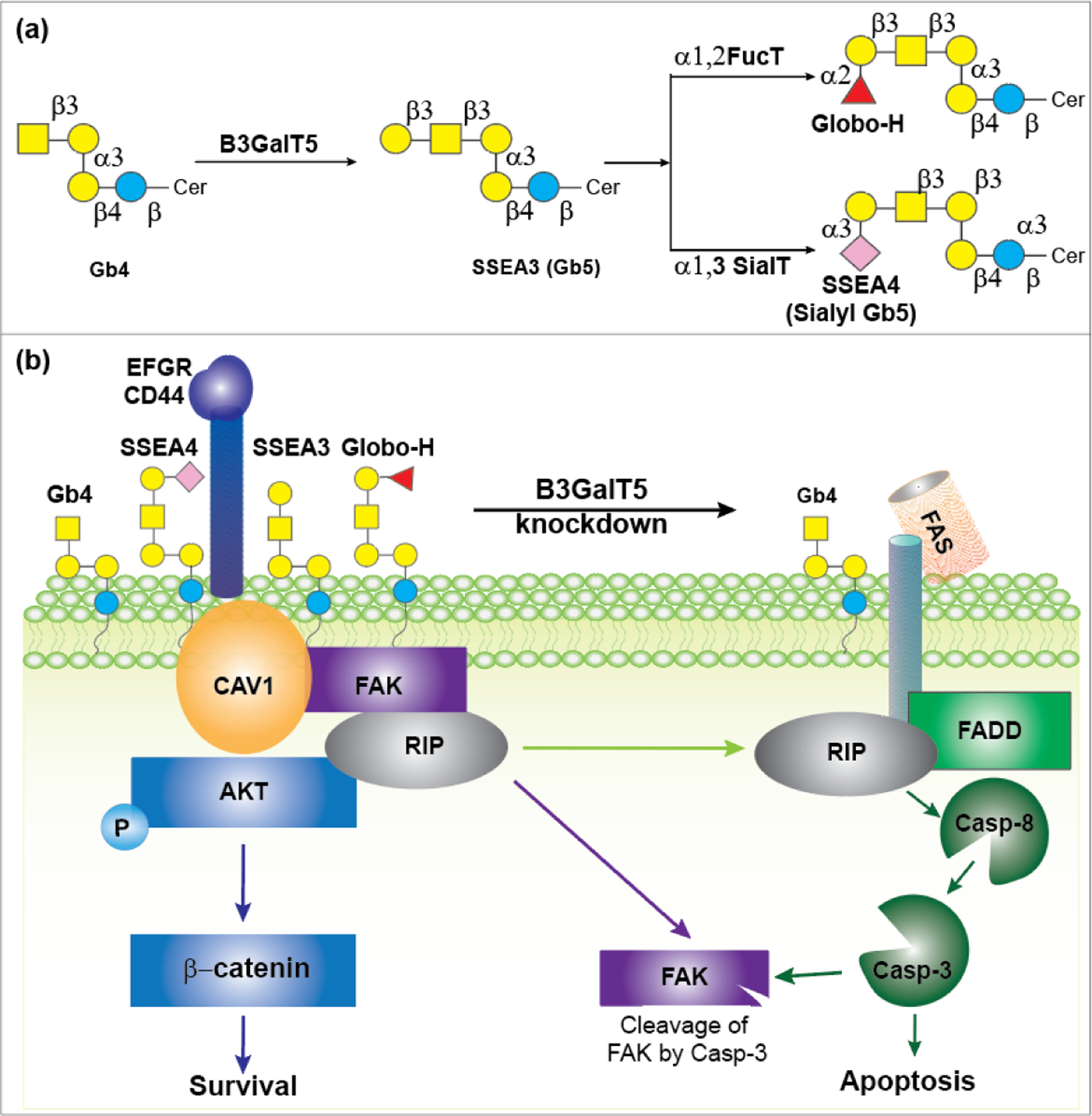 Figure 6: