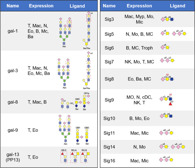 graphic file with name nihms-1839777-t0060.jpg