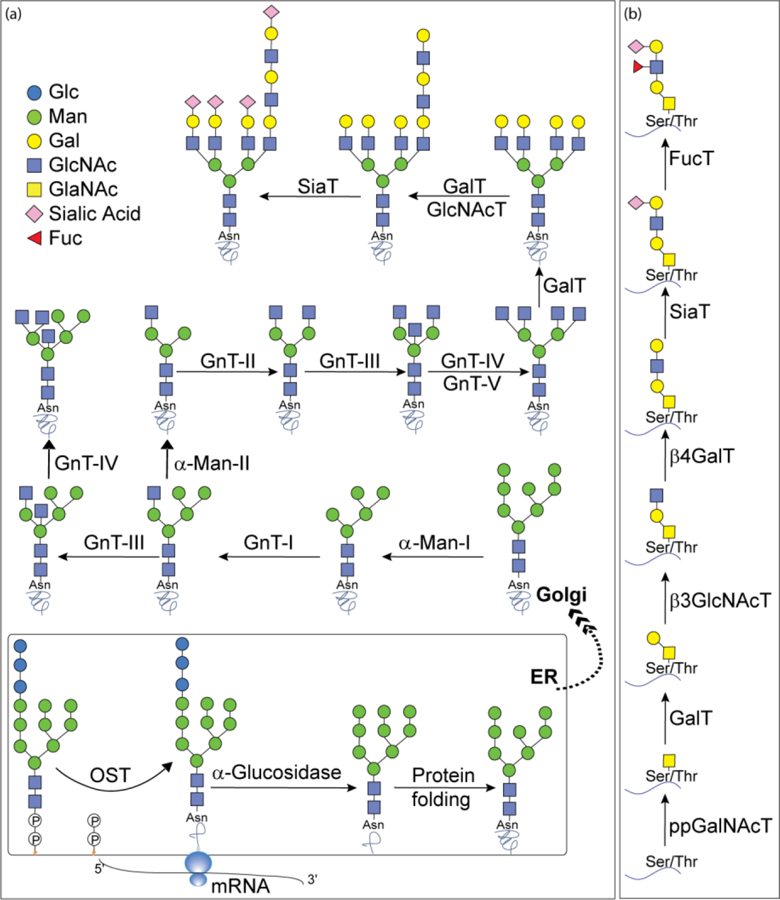 Figure 10: