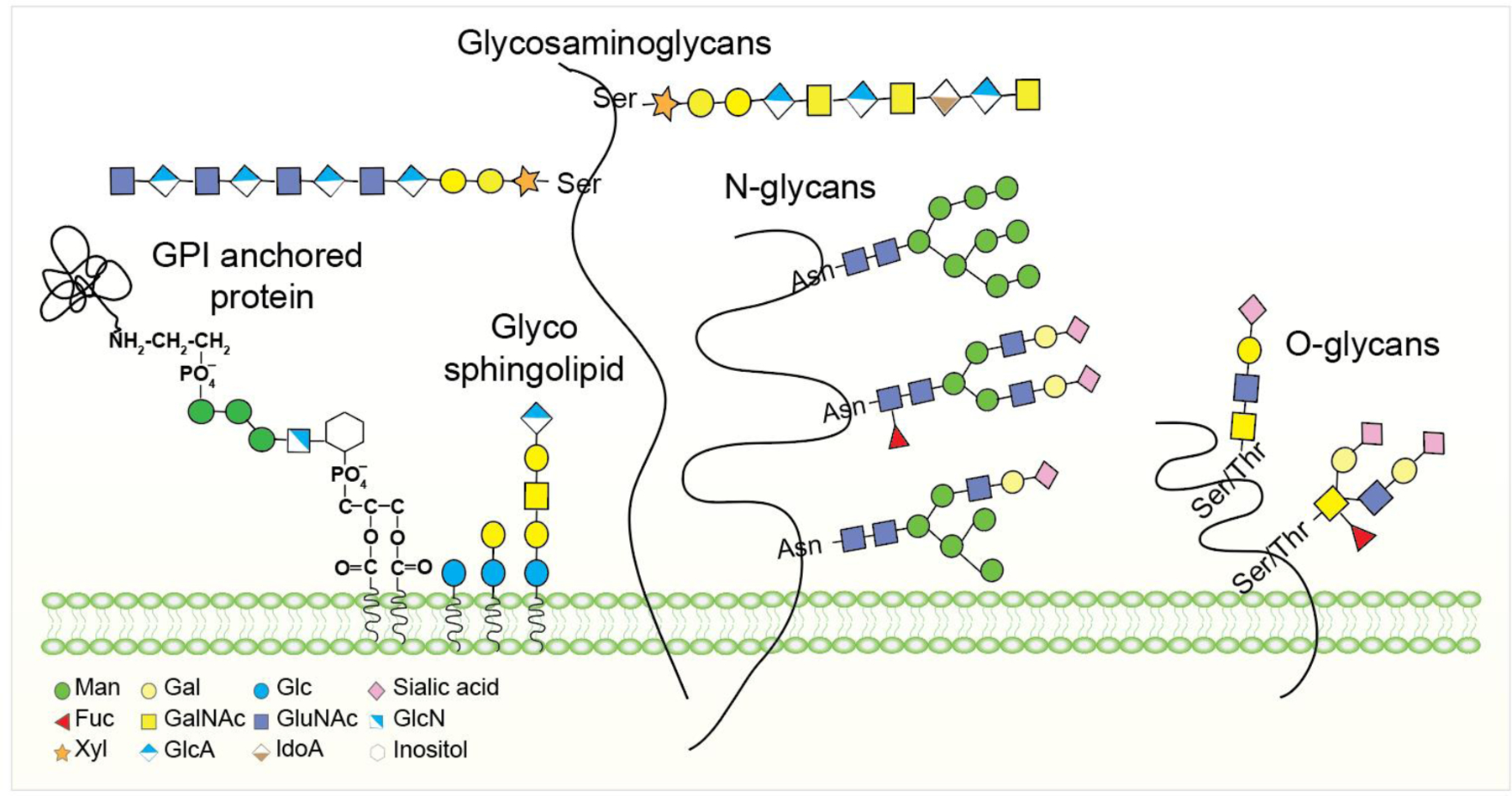 Figure 1: