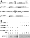 FIG. 6.