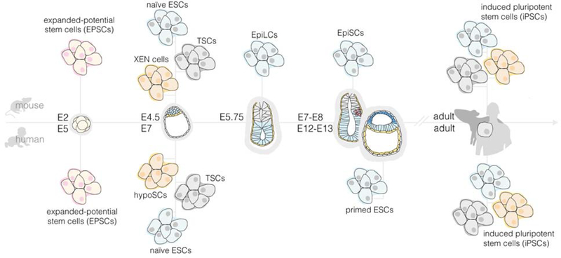 Figure 2.