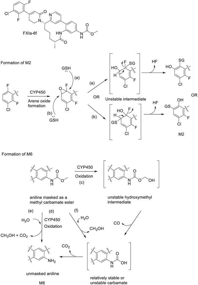 Figure 11.