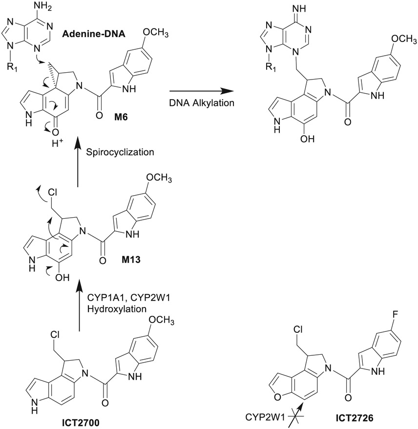 Figure 10.