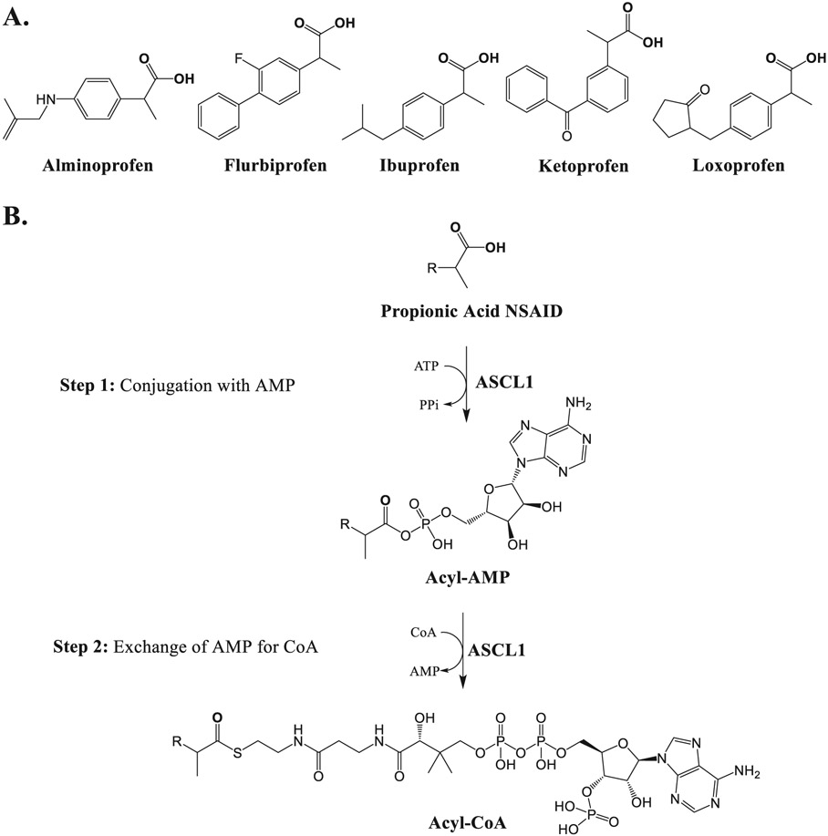 Figure 12.