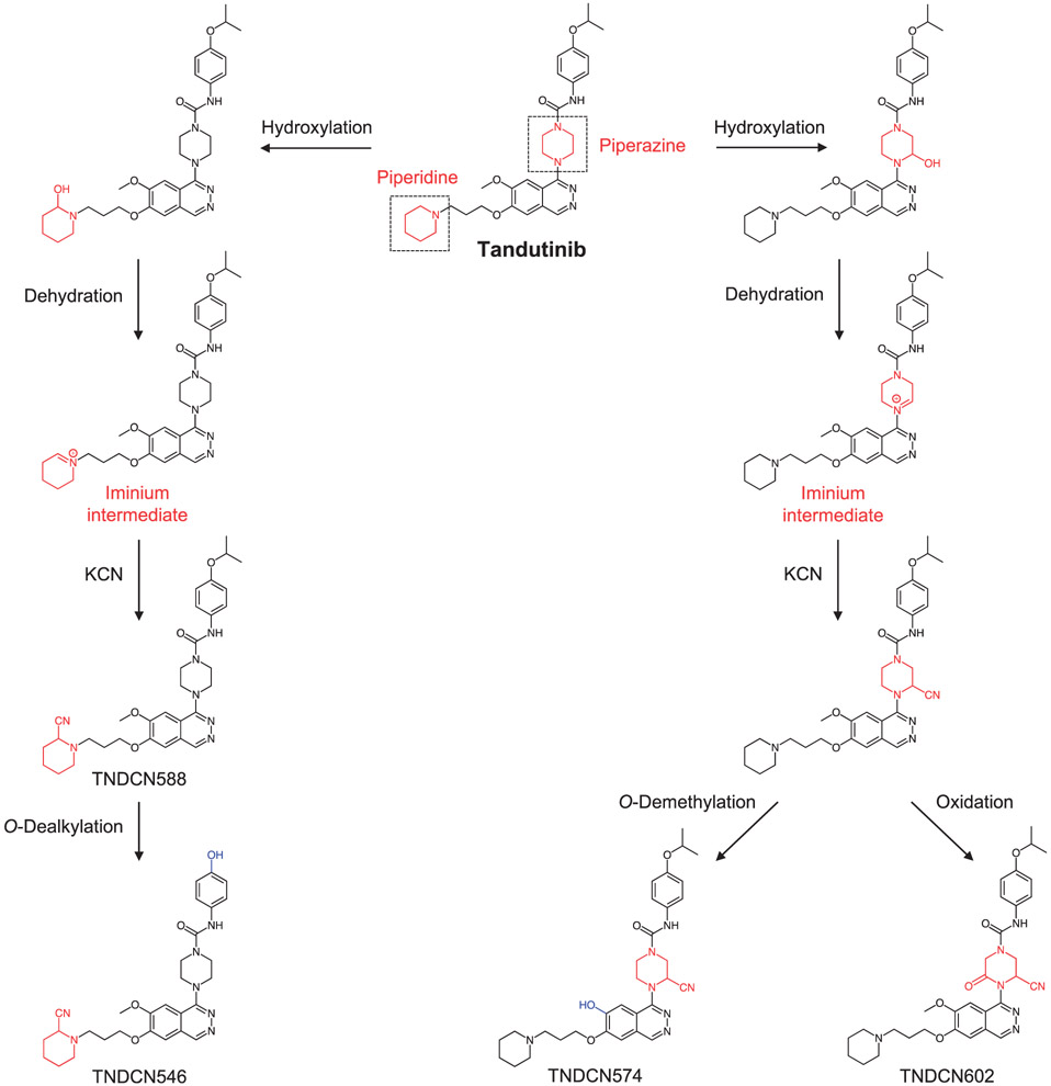 Figure 13.