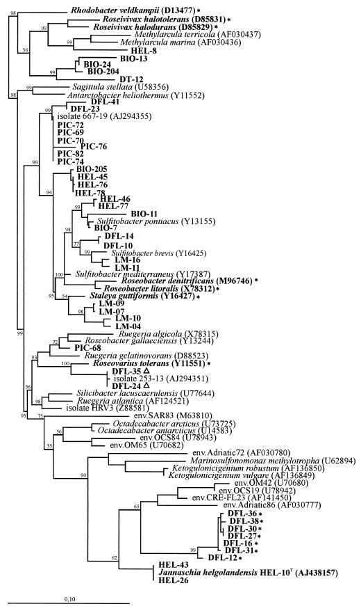 FIG.1.