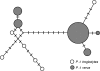 F<sc>IG</sc>. 2.—