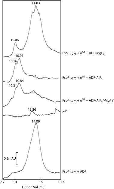 Fig. 2