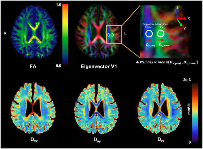 FIGURE 1