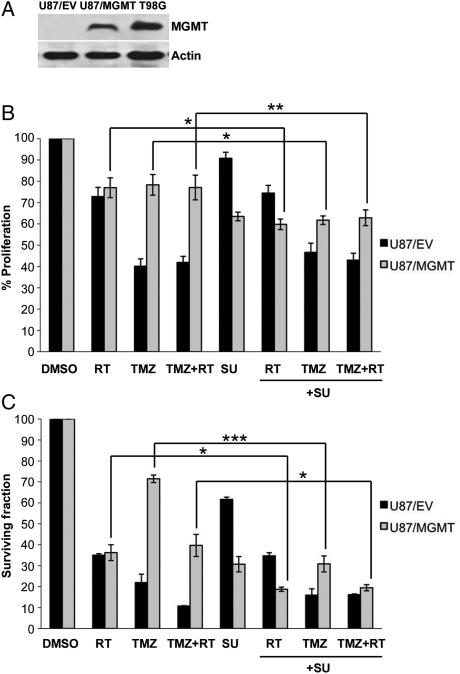 Fig. 1.