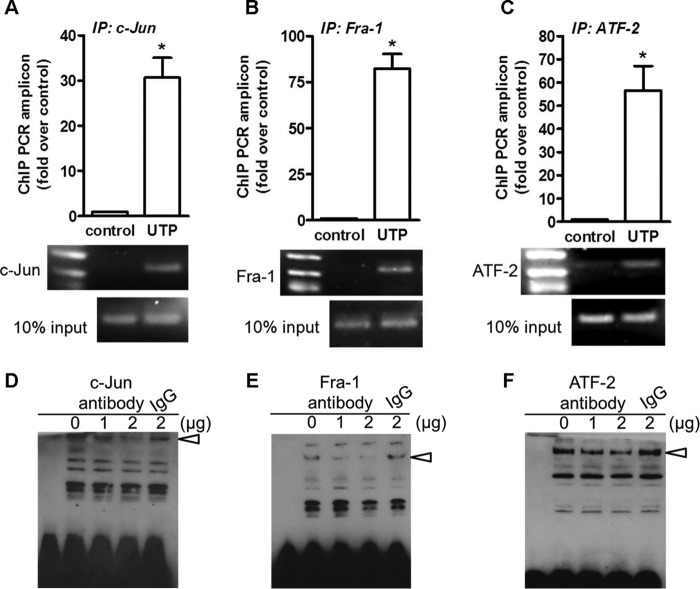 FIGURE 6.