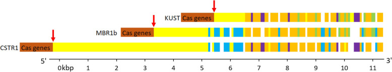 Fig. 2