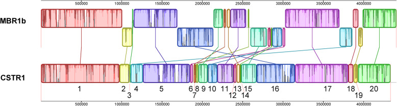 Fig. 1