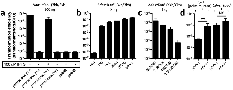 Fig. 1 –