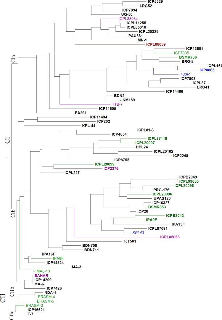 Fig. 2