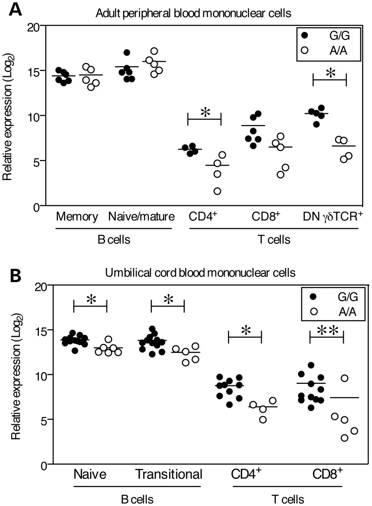 Figure 2.